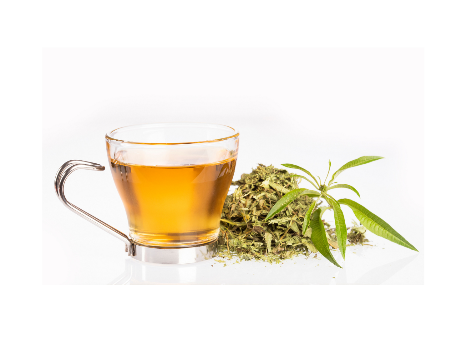 Lemon Verbena